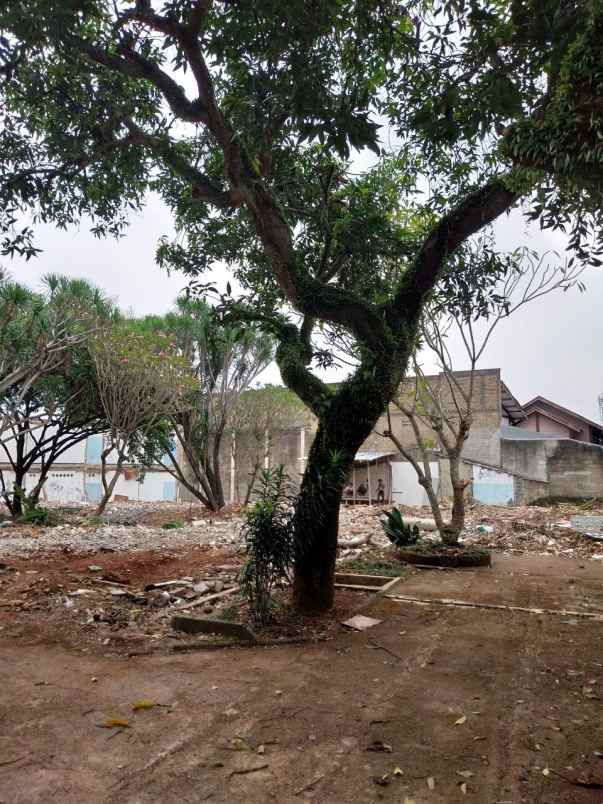 kost depok