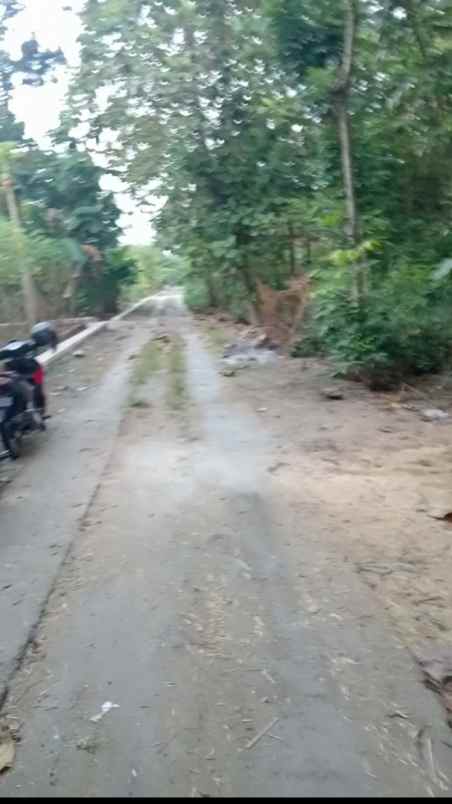 tanah sragen