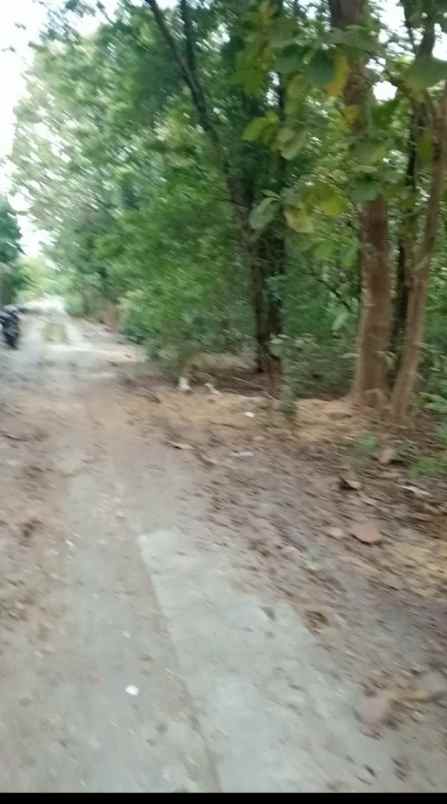 tanah sragen